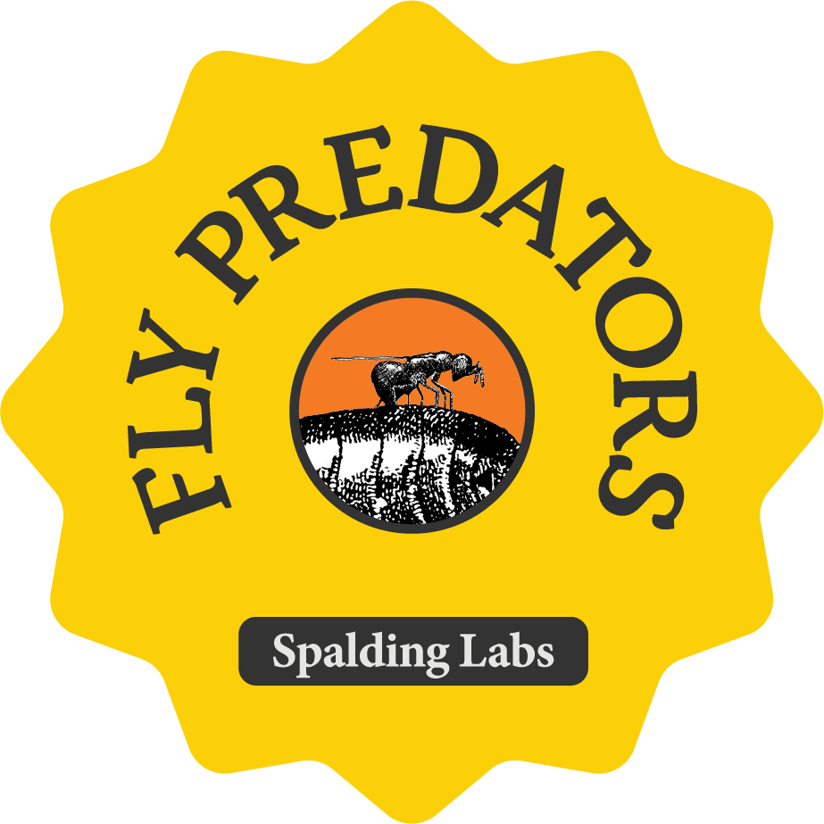 Fly Predators are the most effective natural fly control solution on the market