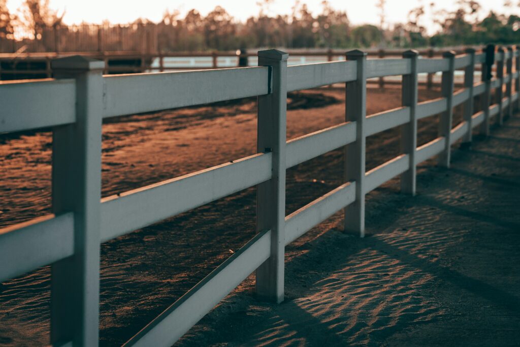 Fly predators are the best way to control flies on your farm, in your garden, and around your property whether you have horses, chickens, or livestock. They are natural and effective to kill flies before they hatch.
