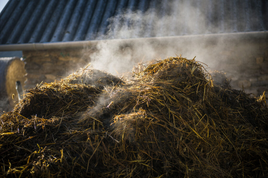 Place Spalding Fly Predators near decaying organic matter like old hay, manure, and compost piles.
