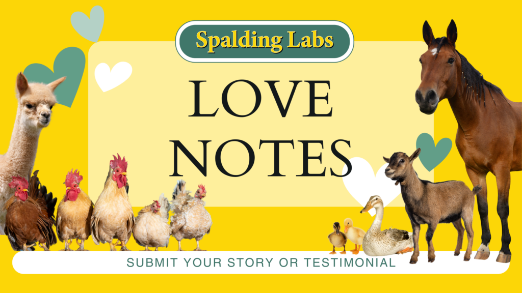 Customers love Spalding Labs Fly Predators and products! Submit your Spalding Labs story or testimonial and be featured on our website.