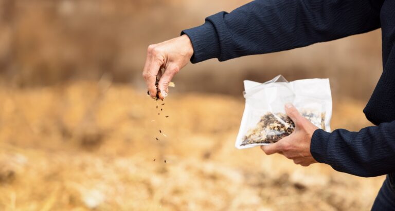 Spalding Fly Predators are easy to use! Just sprinkle a few pinches around your property where flies reproduce, and Fly Predators will kill flies before they hatch.