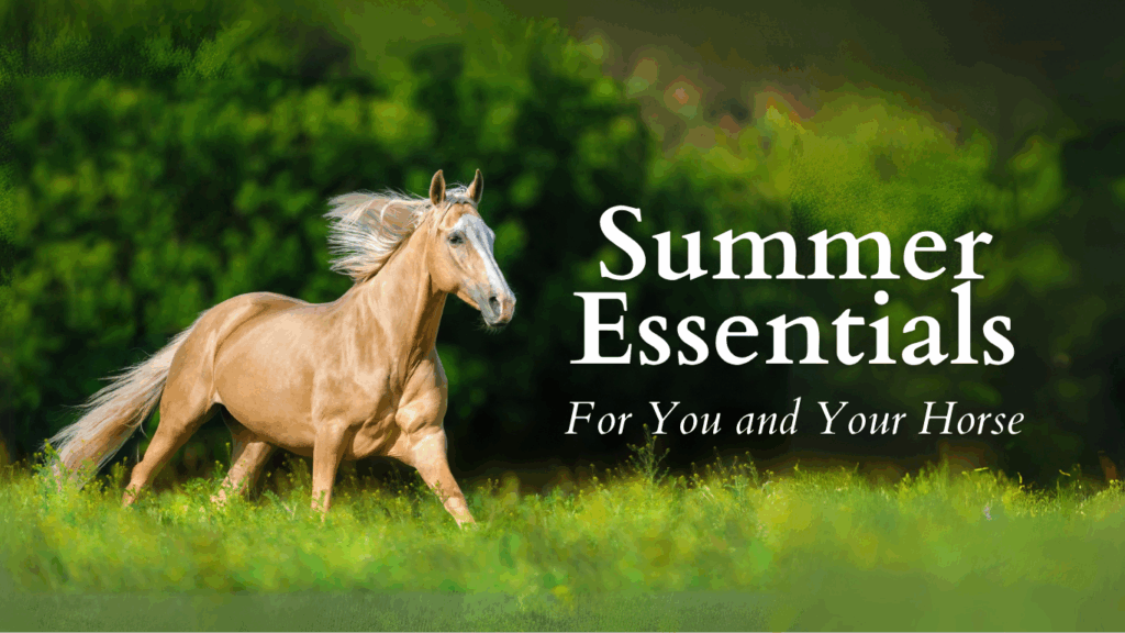 Spalding experts recommend using fly control as part of your summer essentials for you and your horse.