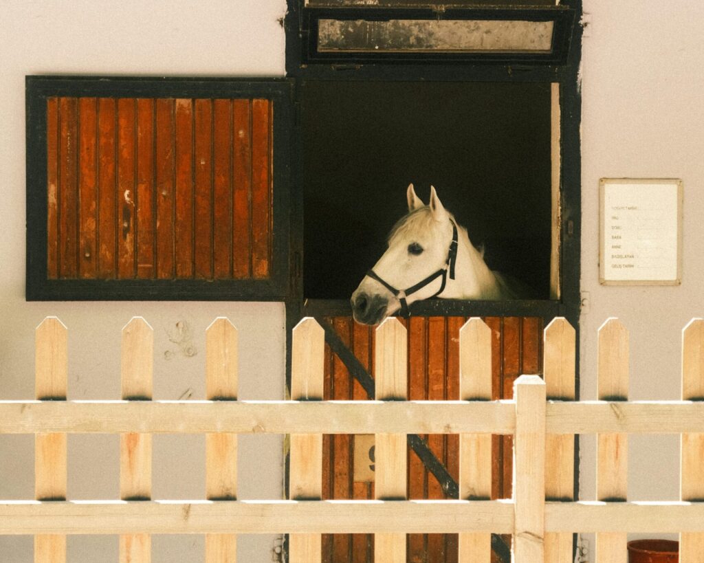 Spalding Labs has natural solutions to keep your horse comfortable all summer.
