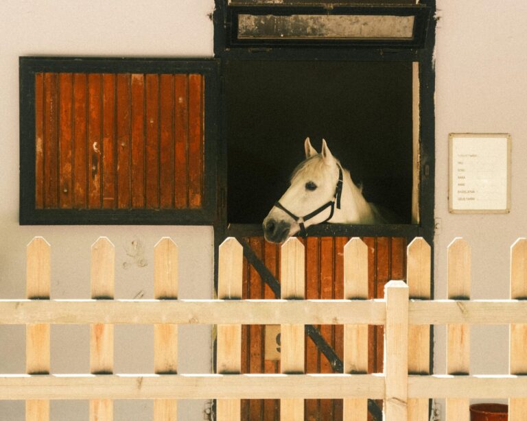 Spalding Labs has natural solutions to keep your horse comfortable all summer.