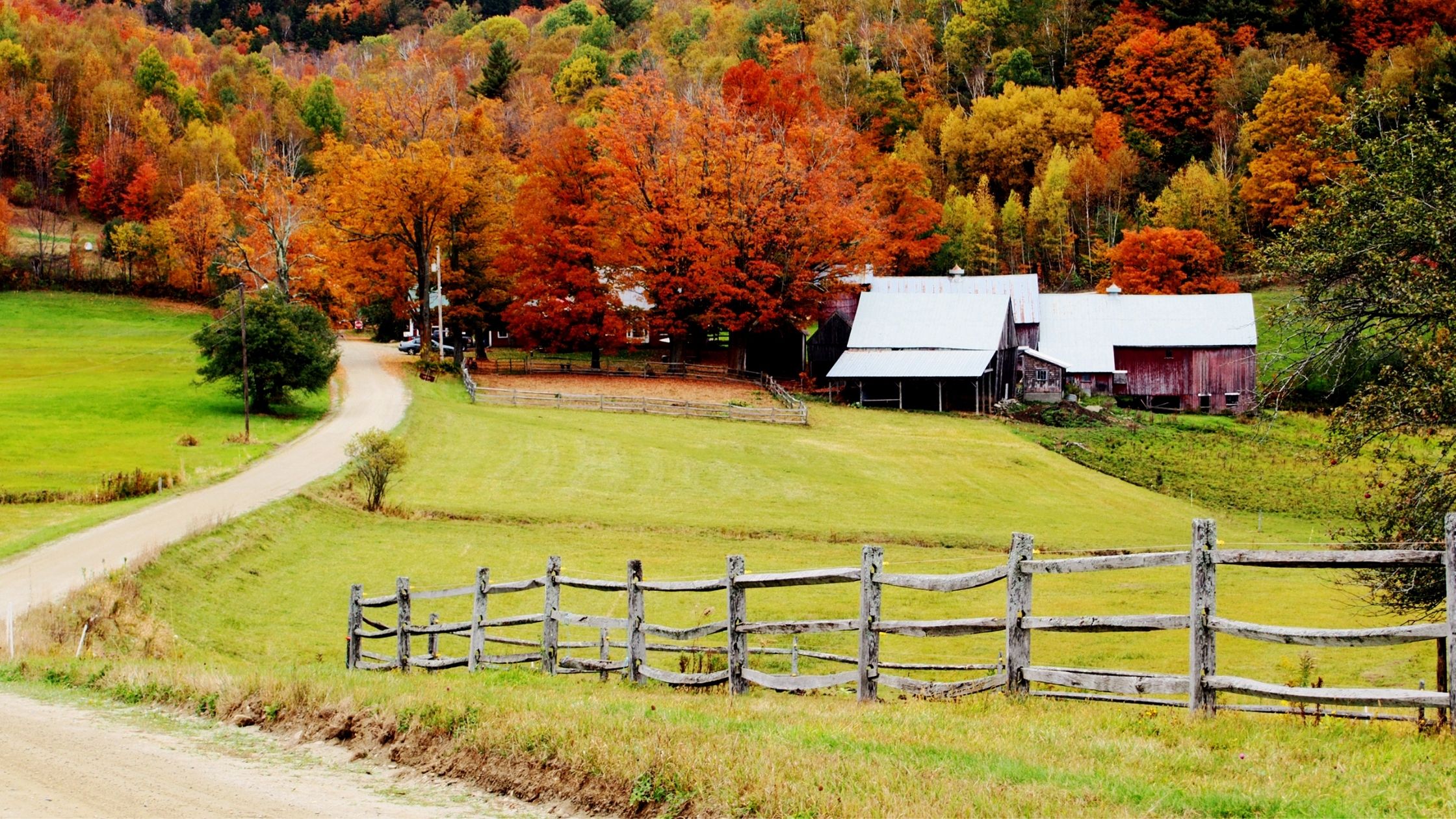 Get fly control tips for fall from Spalding Labs, including traps for biting stable flies and prevention of cluster flies