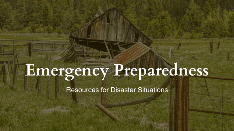 Emergency Preparedness for animal owners