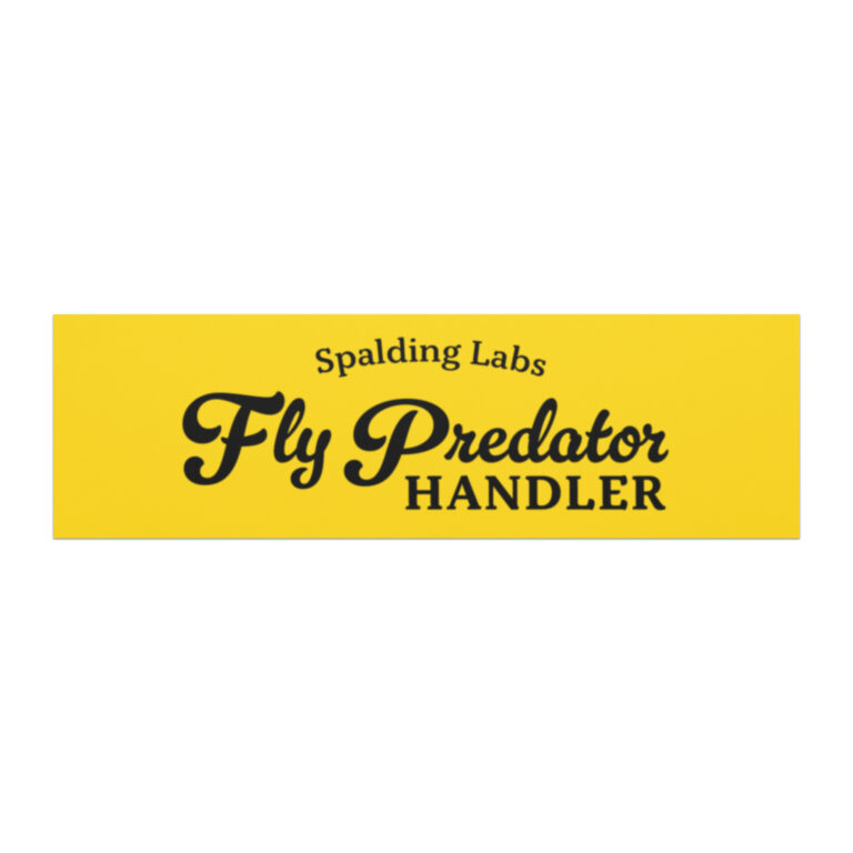 car-magnets-white-10x3-front-6984c04691d90