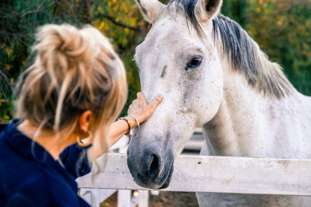 Warm, authentic photo of a horse owner with their horse in a real pasture setting