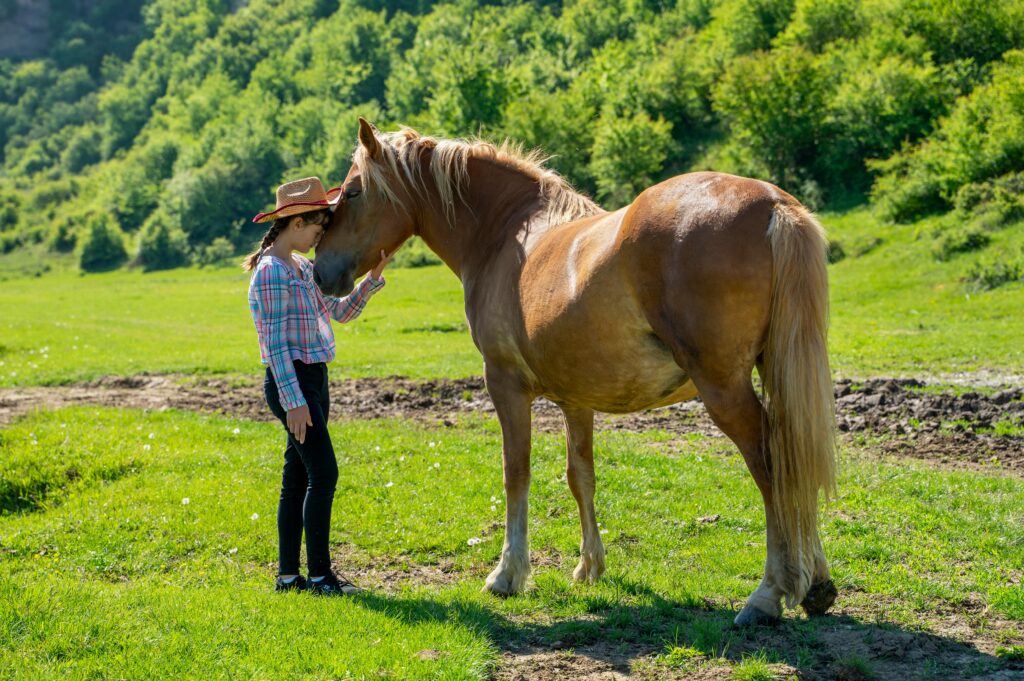 House flies beginning to appear in horse barn in early spring — a sign biological fly control should already be underway.
