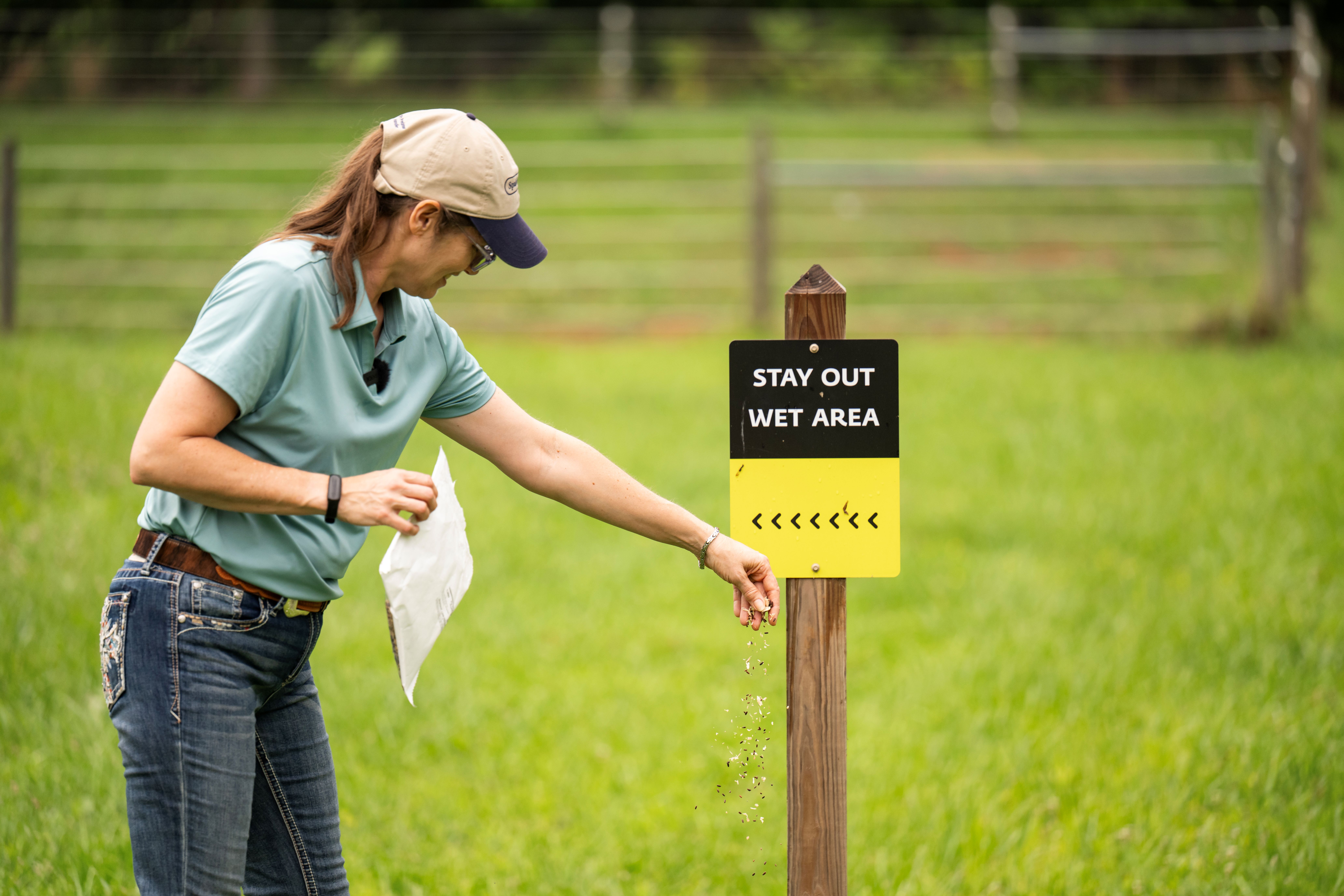 wet area on horse farms can lead to challenges with fly control
