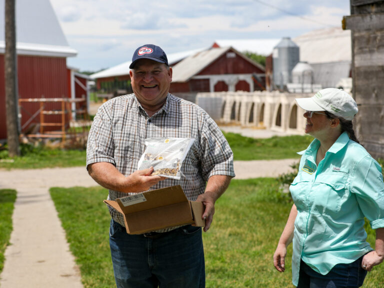 Spalding Labs entomologist visits a dairy farm for biological fly control efficacy assessment
